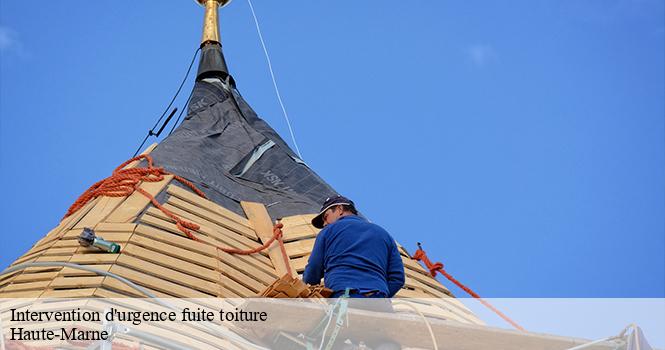 Intervention d'urgence fuite toiture  52 Haute-Marne  pro renov'toiture - Couvreur Zingueur 52