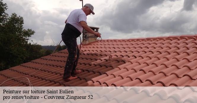 Peinture sur toiture  saint-eulien-52100 pro renov'toiture - Couvreur Zingueur 52