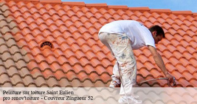 Peinture sur toiture  saint-eulien-52100 pro renov'toiture - Couvreur Zingueur 52