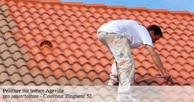 Peinture sur toiture  ageville-52340 pro renov'toiture - Couvreur Zingueur 52