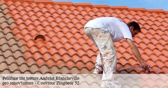 Peinture sur toiture  andelot-blancheville-52700 pro renov'toiture - Couvreur Zingueur 52