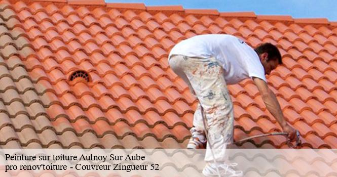 Peinture sur toiture  aulnoy-sur-aube-52160 pro renov'toiture - Couvreur Zingueur 52