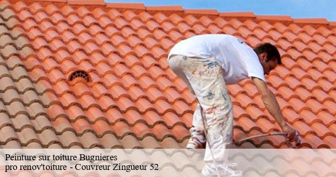 Peinture sur toiture  bugnieres-52210 pro renov'toiture - Couvreur Zingueur 52