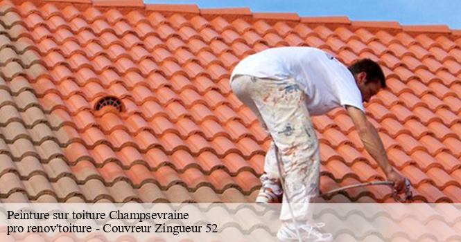 Peinture sur toiture  champsevraine-52500 pro renov'toiture - Couvreur Zingueur 52