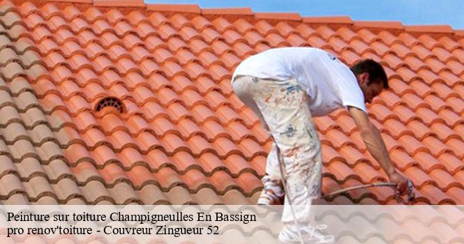 Peinture sur toiture  champigneulles-en-bassign-52150 pro renov'toiture - Couvreur Zingueur 52