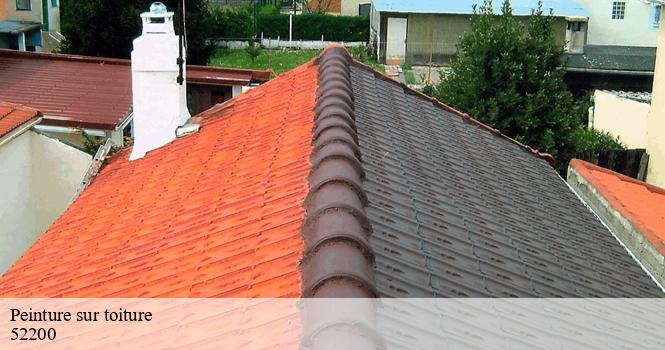 Peinture sur toiture  champigny-les-langres-52200 pro renov'toiture - Couvreur Zingueur 52