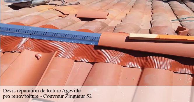 Devis réparation de toiture  ageville-52340 pro renov'toiture - Couvreur Zingueur 52