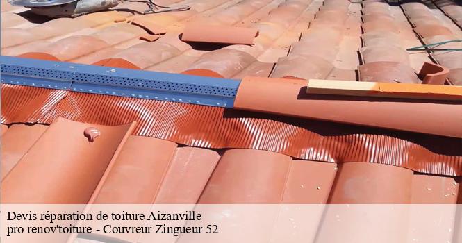 Devis réparation de toiture  aizanville-52120 pro renov'toiture - Couvreur Zingueur 52