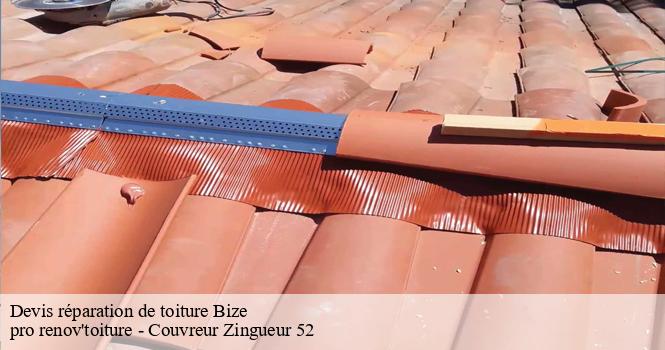 Devis réparation de toiture  bize-52500 pro renov'toiture - Couvreur Zingueur 52