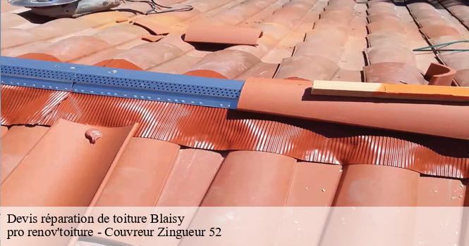 Devis réparation de toiture  blaisy-52330 pro renov'toiture - Couvreur Zingueur 52