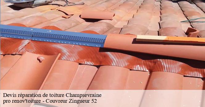 Devis réparation de toiture  champsevraine-52500 pro renov'toiture - Couvreur Zingueur 52