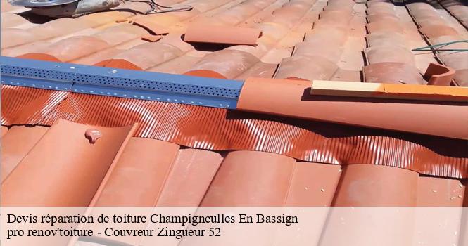 Devis réparation de toiture  champigneulles-en-bassign-52150 pro renov'toiture - Couvreur Zingueur 52