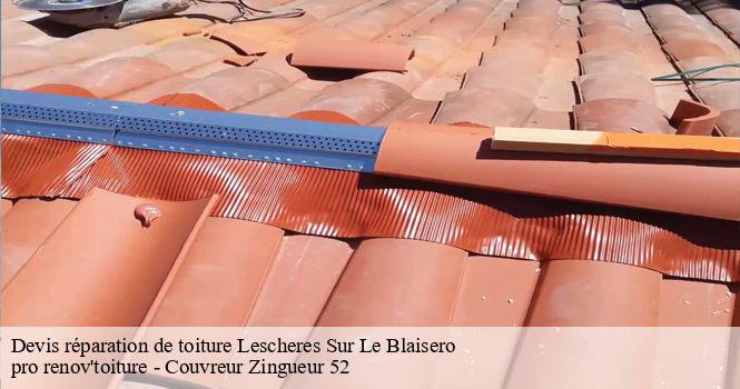 Devis réparation de toiture  lescheres-sur-le-blaisero-52110 pro renov'toiture - Couvreur Zingueur 52