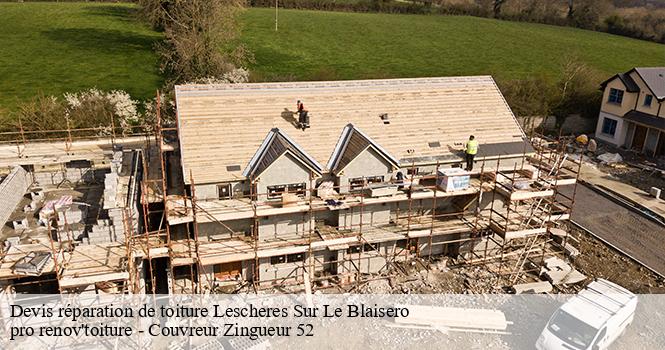 Devis réparation de toiture  lescheres-sur-le-blaisero-52110 pro renov'toiture - Couvreur Zingueur 52