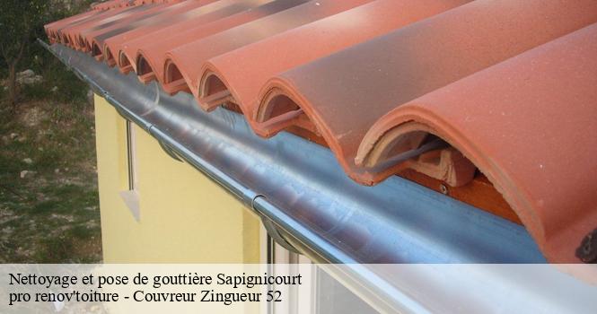 Nettoyage et pose de gouttière  sapignicourt-52100 pro renov'toiture - Couvreur Zingueur 52