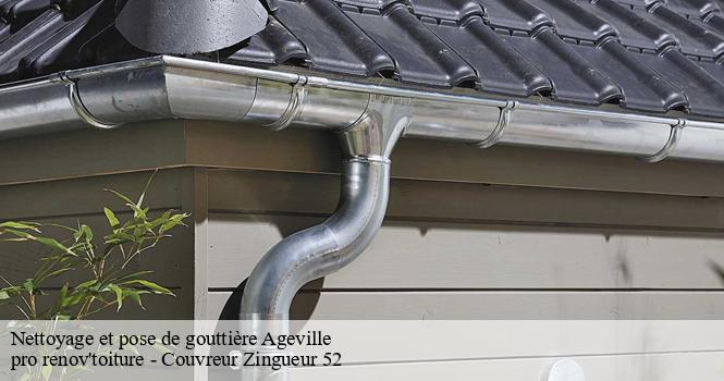 Nettoyage et pose de gouttière  ageville-52340 pro renov'toiture - Couvreur Zingueur 52