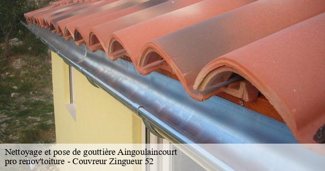 Nettoyage et pose de gouttière  aingoulaincourt-52230 pro renov'toiture - Couvreur Zingueur 52