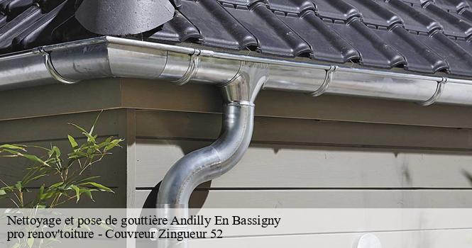 Nettoyage et pose de gouttière  andilly-en-bassigny-52360 pro renov'toiture - Couvreur Zingueur 52