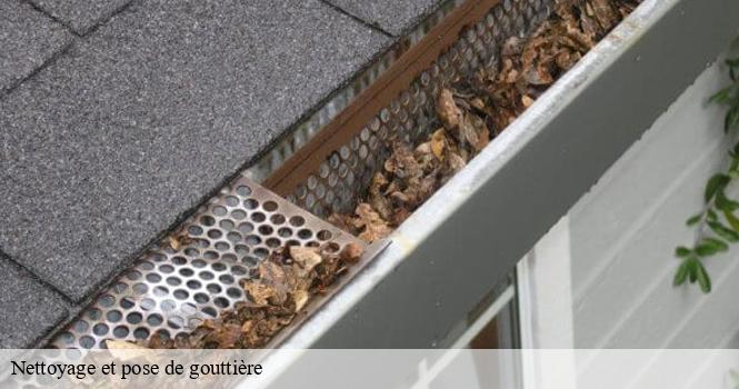 Nettoyage et pose de gouttière  annonville-52230 pro renov'toiture - Couvreur Zingueur 52