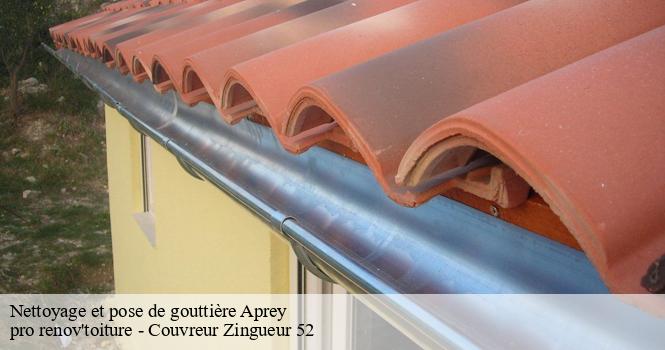 Nettoyage et pose de gouttière  aprey-52250 pro renov'toiture - Couvreur Zingueur 52