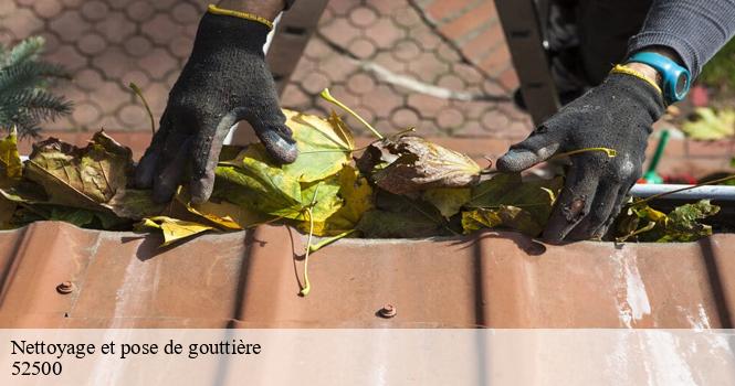 Nettoyage et pose de gouttière  arbigny-sous-varennes-52500 pro renov'toiture - Couvreur Zingueur 52