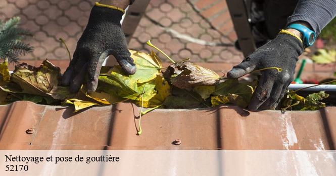 Nettoyage et pose de gouttière  breuil-sur-marne-52170 pro renov'toiture - Couvreur Zingueur 52