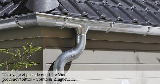 Nettoyage et pose de gouttière  vicq-52400 pro renov'toiture - Couvreur Zingueur 52