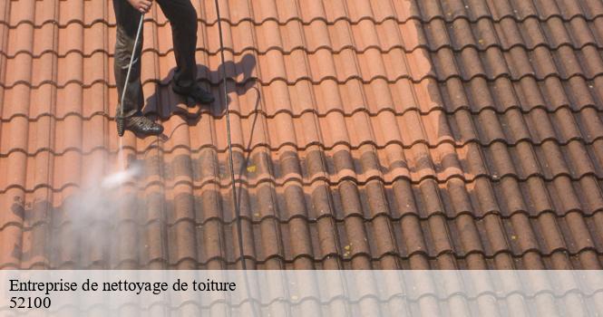 Entreprise de nettoyage de toiture  saint-eulien-52100 pro renov'toiture - Couvreur Zingueur 52