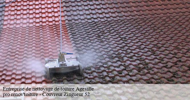 Entreprise de nettoyage de toiture  ageville-52340 pro renov'toiture - Couvreur Zingueur 52