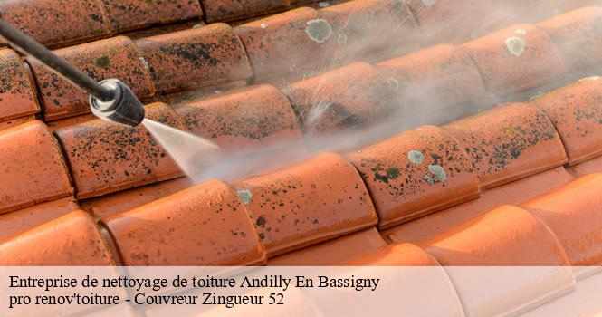 Entreprise de nettoyage de toiture  andilly-en-bassigny-52360 pro renov'toiture - Couvreur Zingueur 52