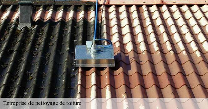 Entreprise de nettoyage de toiture  andilly-en-bassigny-52360 pro renov'toiture - Couvreur Zingueur 52