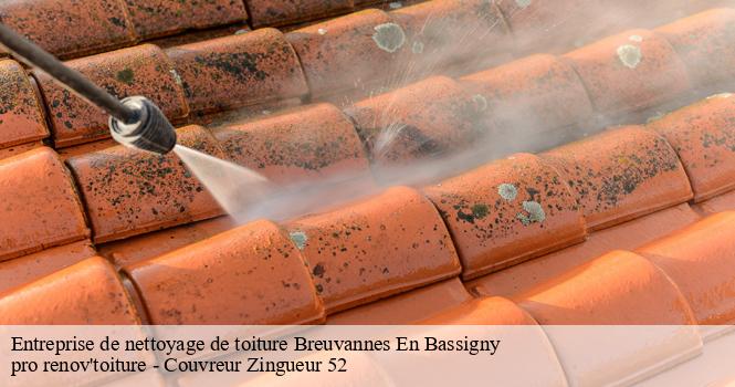 Entreprise de nettoyage de toiture  breuvannes-en-bassigny-52240 pro renov'toiture - Couvreur Zingueur 52