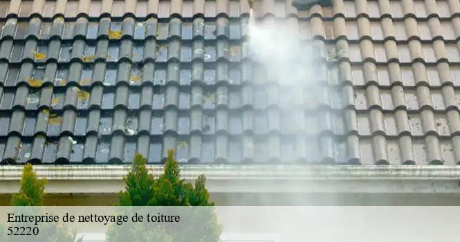 Entreprise de nettoyage de toiture  longeville-sur-la-laines-52220 pro renov'toiture - Couvreur Zingueur 52