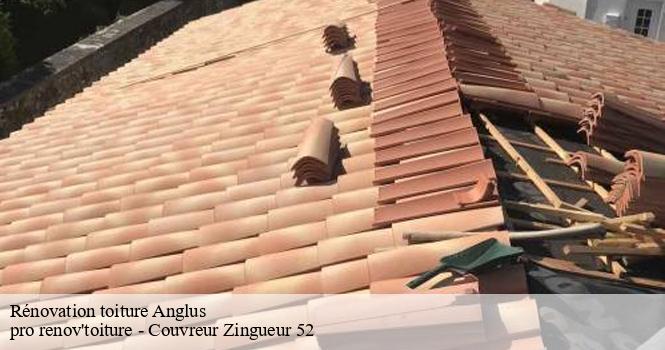 Rénovation toiture  anglus-52220 pro renov'toiture - Couvreur Zingueur 52