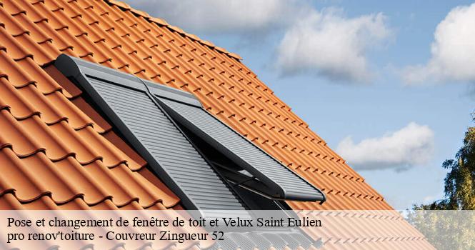 Pose et changement de fenêtre de toit et Velux  saint-eulien-52100 pro renov'toiture - Couvreur Zingueur 52