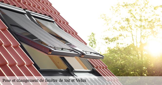 Pose et changement de fenêtre de toit et Velux  saint-eulien-52100 pro renov'toiture - Couvreur Zingueur 52