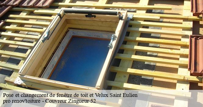 Pose et changement de fenêtre de toit et Velux  saint-eulien-52100 pro renov'toiture - Couvreur Zingueur 52