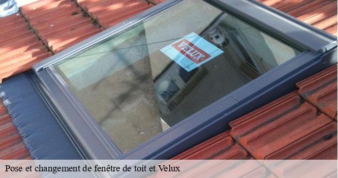 Pose et changement de fenêtre de toit et Velux  saint-eulien-52100 pro renov'toiture - Couvreur Zingueur 52