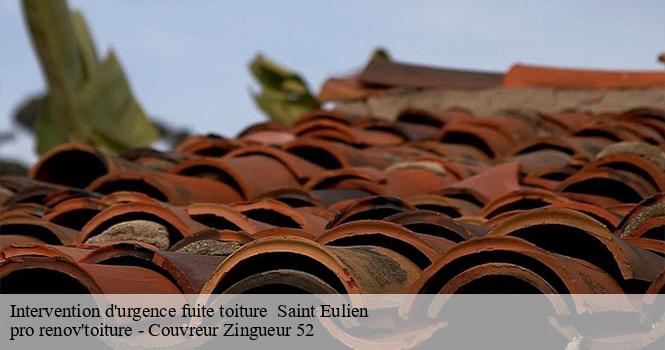 Intervention d'urgence fuite toiture   saint-eulien-52100 pro renov'toiture - Couvreur Zingueur 52