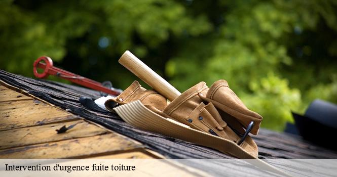 Intervention d'urgence fuite toiture   saint-eulien-52100 pro renov'toiture - Couvreur Zingueur 52