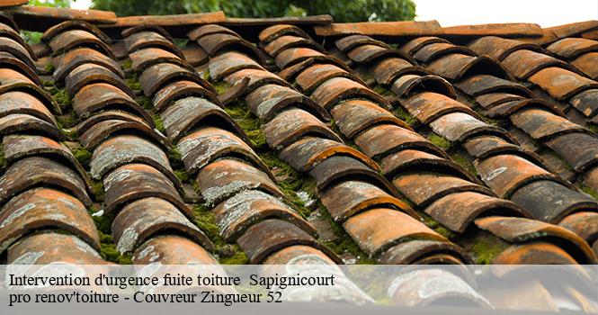 Intervention d'urgence fuite toiture   sapignicourt-52100 pro renov'toiture - Couvreur Zingueur 52