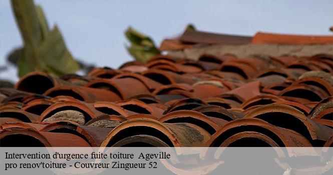 Intervention d'urgence fuite toiture   ageville-52340 pro renov'toiture - Couvreur Zingueur 52