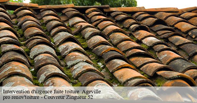 Intervention d'urgence fuite toiture   ageville-52340 pro renov'toiture - Couvreur Zingueur 52