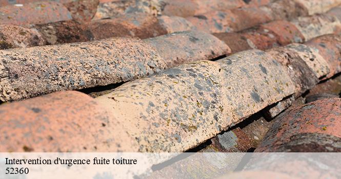 Intervention d'urgence fuite toiture   andilly-en-bassigny-52360 pro renov'toiture - Couvreur Zingueur 52