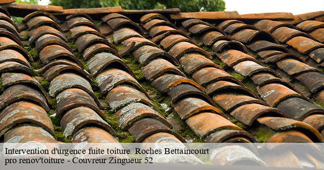 Intervention d'urgence fuite toiture   roches-bettaincourt-52270 pro renov'toiture - Couvreur Zingueur 52