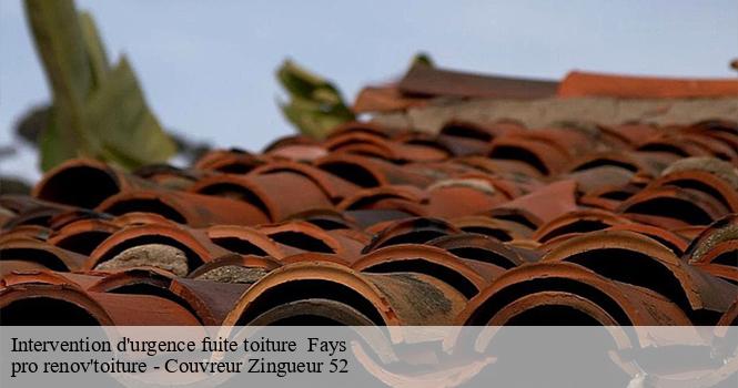 Intervention d'urgence fuite toiture   fays-52130 pro renov'toiture - Couvreur Zingueur 52