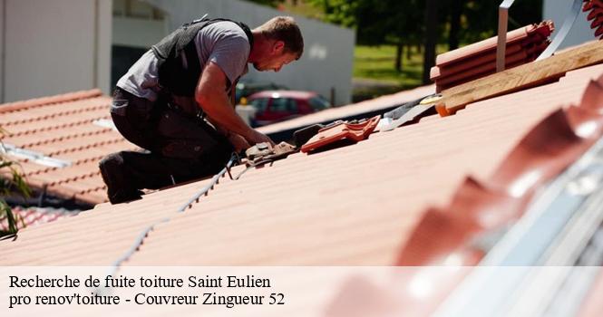 Recherche de fuite toiture  saint-eulien-52100 pro renov'toiture - Couvreur Zingueur 52