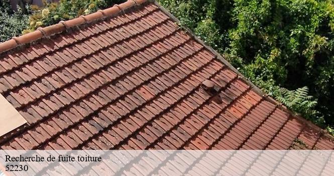 Recherche de fuite toiture  aingoulaincourt-52230 pro renov'toiture - Couvreur Zingueur 52