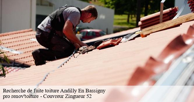 Recherche de fuite toiture  andilly-en-bassigny-52360 pro renov'toiture - Couvreur Zingueur 52