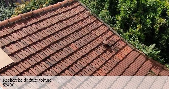 Recherche de fuite toiture  arnoncourt-sur-apance-52400 pro renov'toiture - Couvreur Zingueur 52